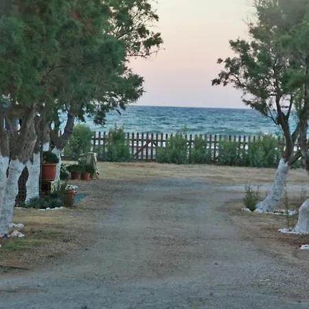 Creta 2*